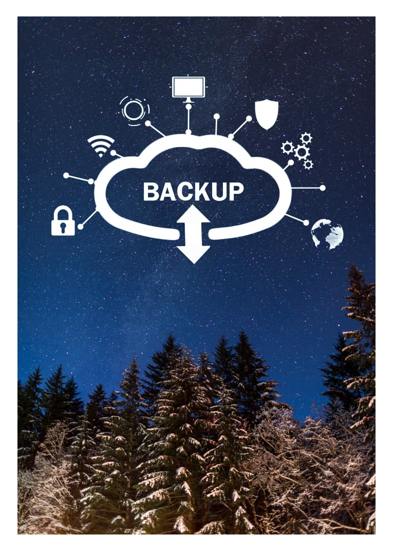 Data Backup Services 1